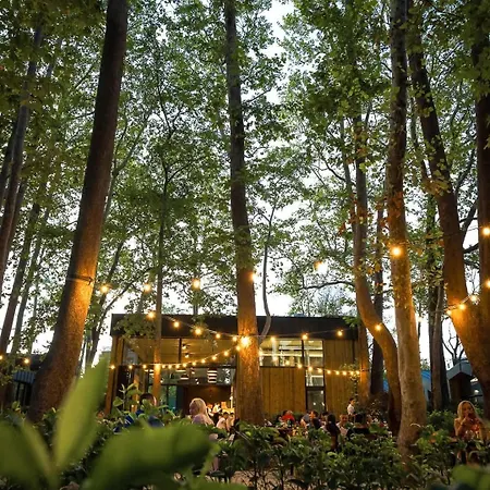 Azur Pearl By Rv Sveti Konstantin